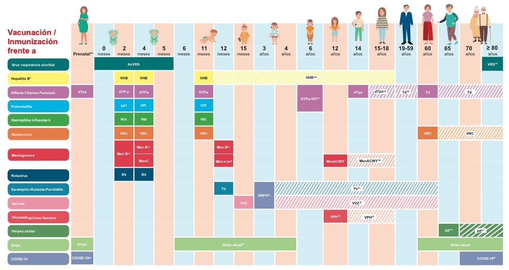Calendario de vacunación a lo largo de toda la vida: